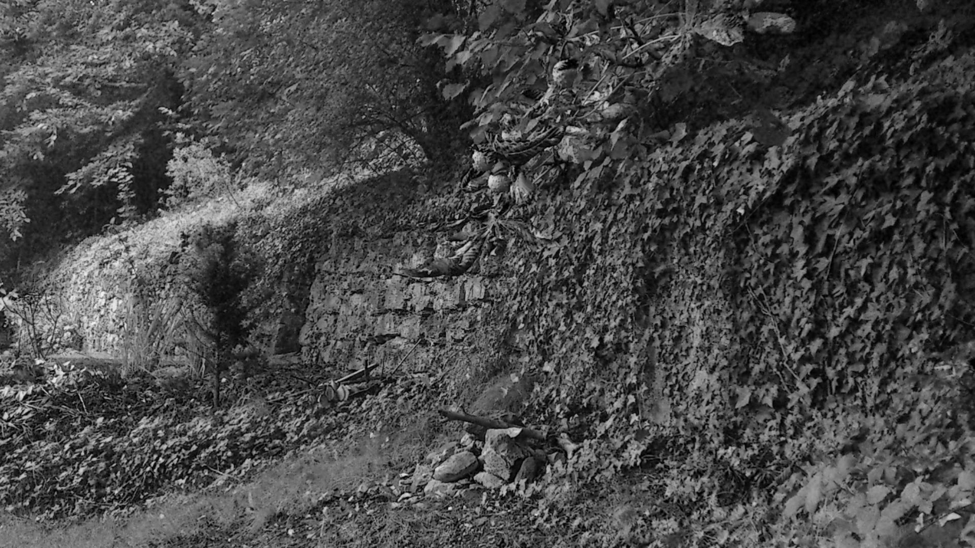 Langerrain historische Mauer in Maihälden - alte überwucherte Steinmauer als Feldgrenze